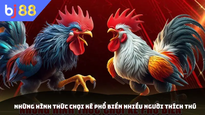 Những hình thức chọi kê phổ biến nhiều người thích thú 